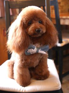 20130326_21.jpg