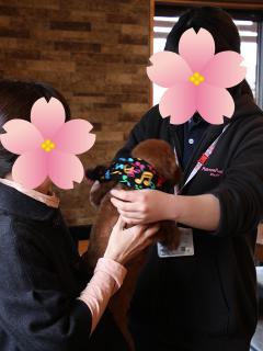 20130326_23.jpg