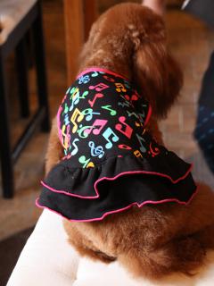 20130326_24.jpg