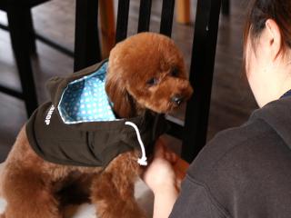 20130326_26.jpg