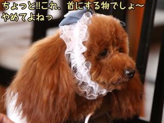 20130326_29.jpg