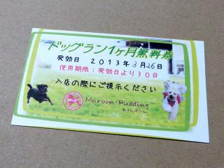 20130326_33.jpg