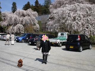 20130328_01.jpg