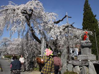 20130328_02.jpg