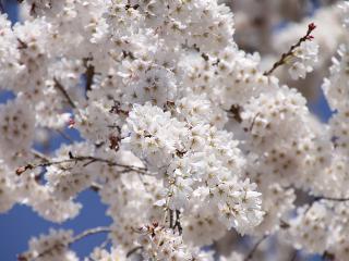 20130328_04.jpg