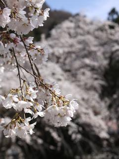 20130328_05.jpg