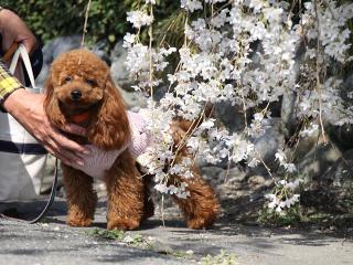 20130328_06.jpg