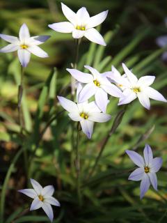 20130328_08.jpg