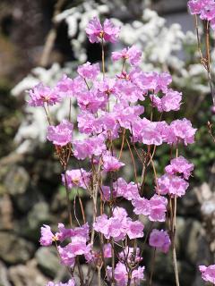 20130328_09.jpg