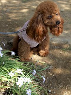 20130328_10.jpg