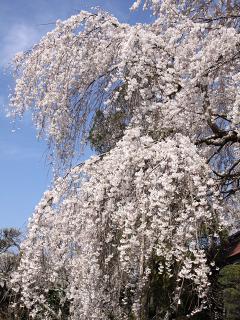 20130328_11.jpg