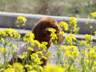 20130328_12.jpg