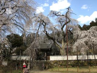 20130328_15.jpg