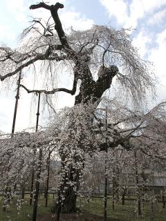 20130328_16.jpg