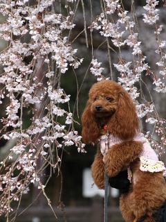 20130328_17.jpg