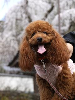20130328_18.jpg