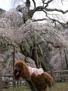 20130328_19.jpg