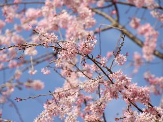 20130328_20.jpg