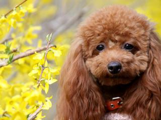 20130328_21.jpg