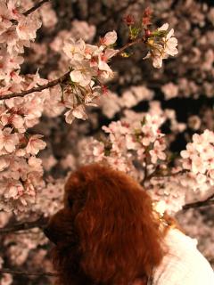 20130328_22.jpg