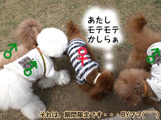 20130329_11.jpg
