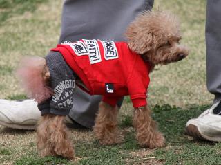 20130329_14.jpg