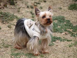 20130329_15.jpg