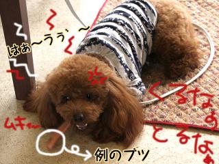 20130329_18.jpg