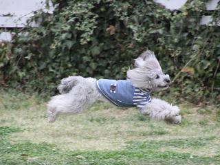 20130329_28.jpg