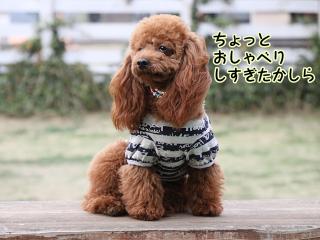 20130329_29.jpg