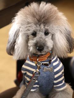 20130329_30.jpg