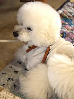 20130329_31.jpg