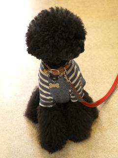 20130329_32.jpg