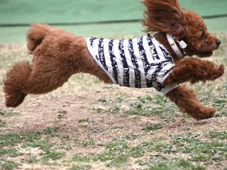 20130329_34.jpg