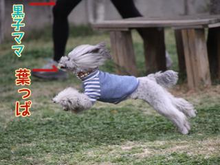 20130329_35.jpg