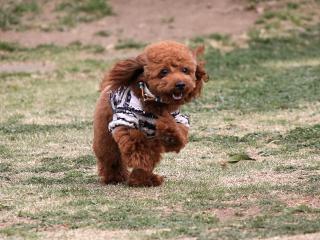 20130329_36.jpg