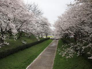 20130330_08.jpg