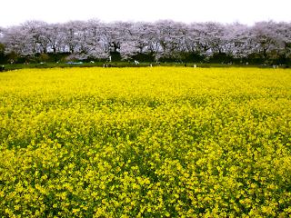 20130330_10.jpg