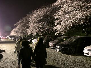 20130330_11.jpg
