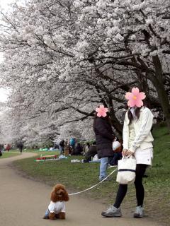 20130330_13.jpg