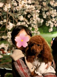 20130330_14.jpg