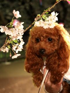 20130330_15.jpg