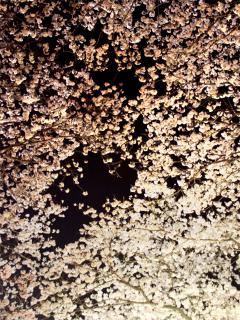 20130330_16.jpg