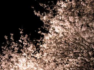 20130330_17.jpg