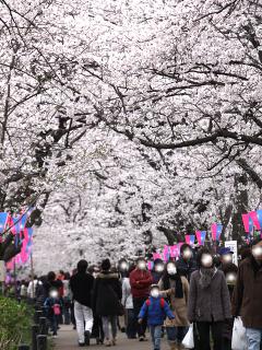 20130330_19.jpg