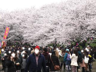 20130330_24.jpg
