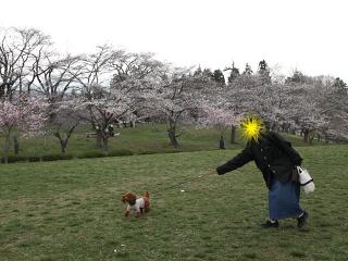 20130401_02.jpg