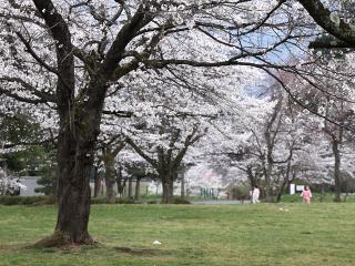 20130401_04.jpg