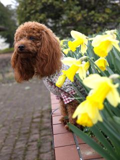 20130401_06.jpg
