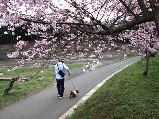 20130401_09.jpg